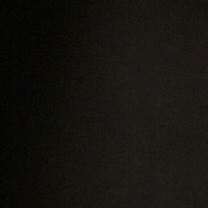 Meet your Posher, Ashlyn